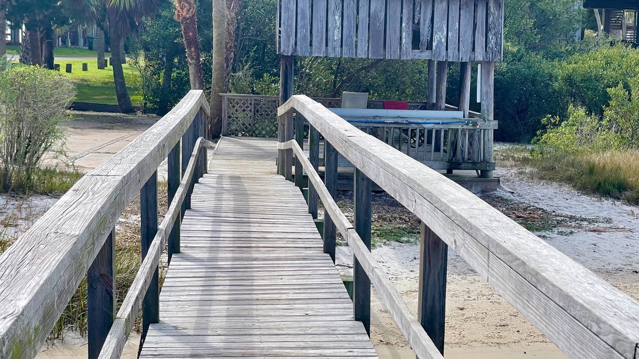 Photo of Outdoor in Cedar Key