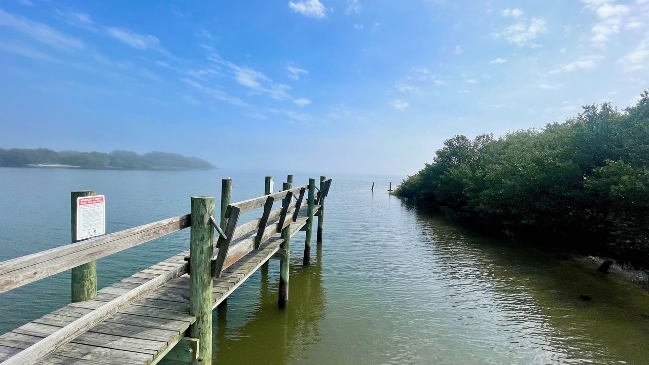 Photo of Outdoor in Cedar Key