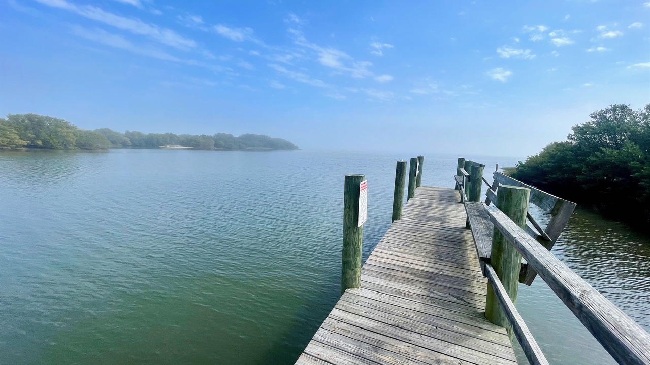 Photo of Outdoor in Cedar Key