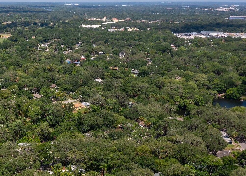 Photo of Outdoor in Old Seminole Heights