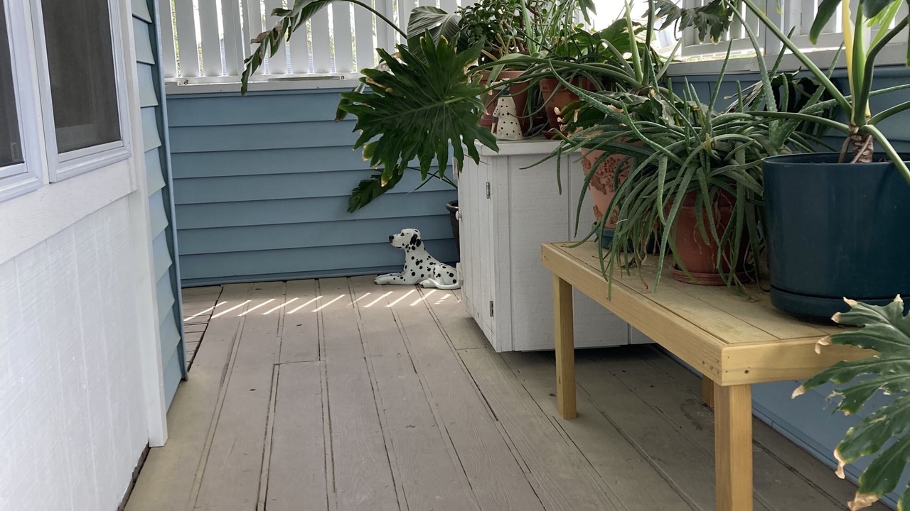 Photo of Outdoor in Colington