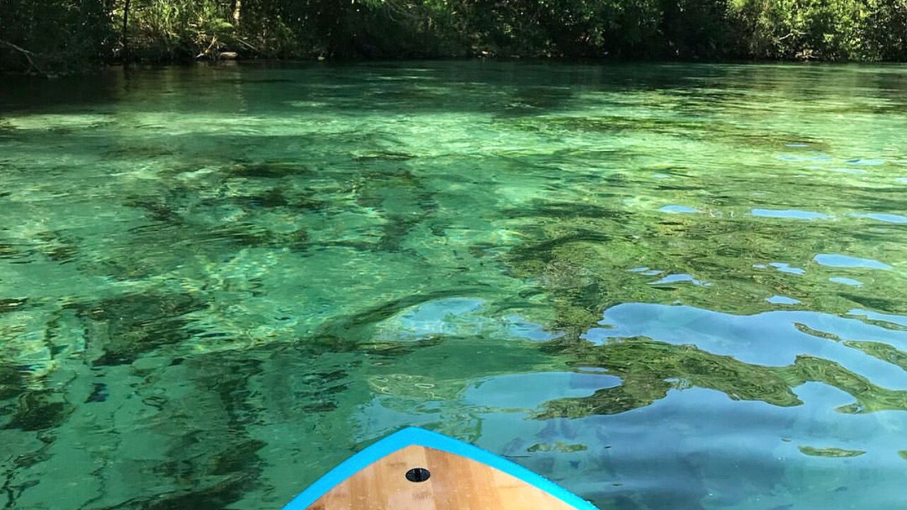 Photo of Others in Weeki Wachee Gardens