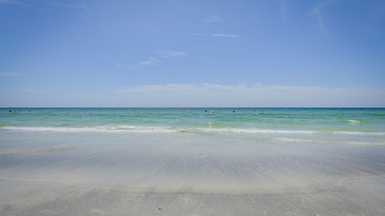 Photo of Others in Indian Rocks Beach