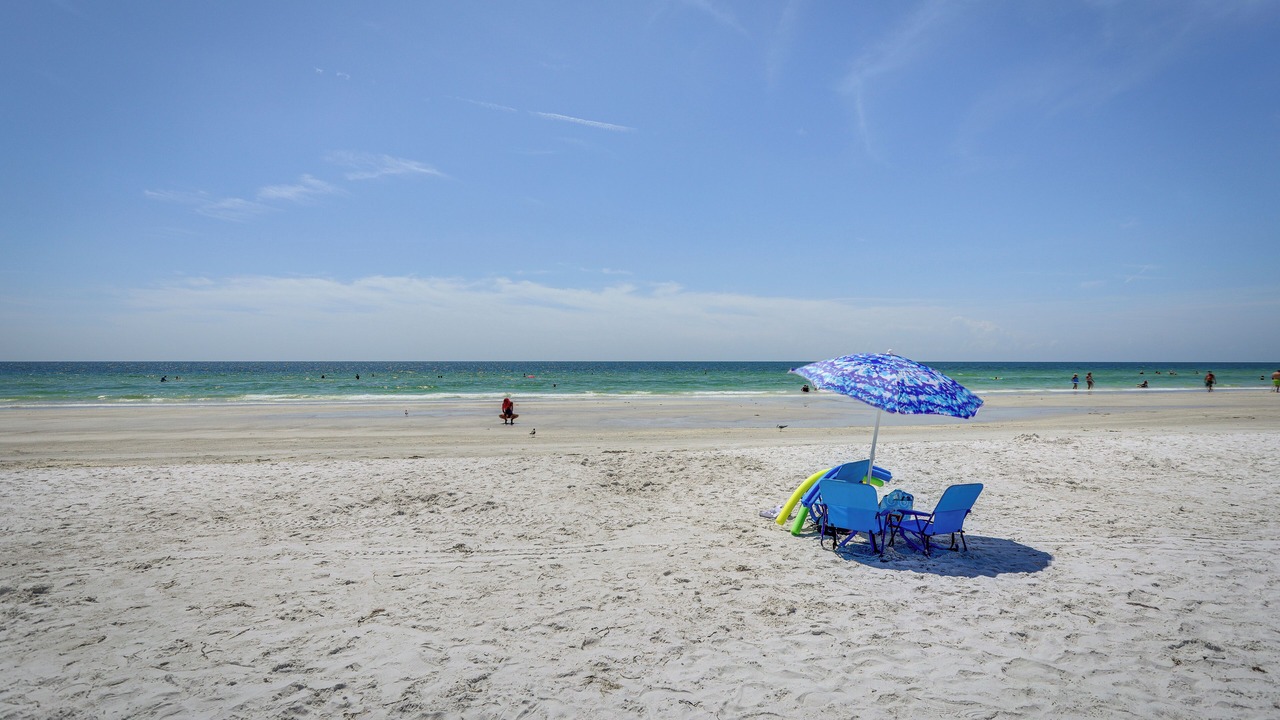 Photo of Others in Indian Rocks Beach