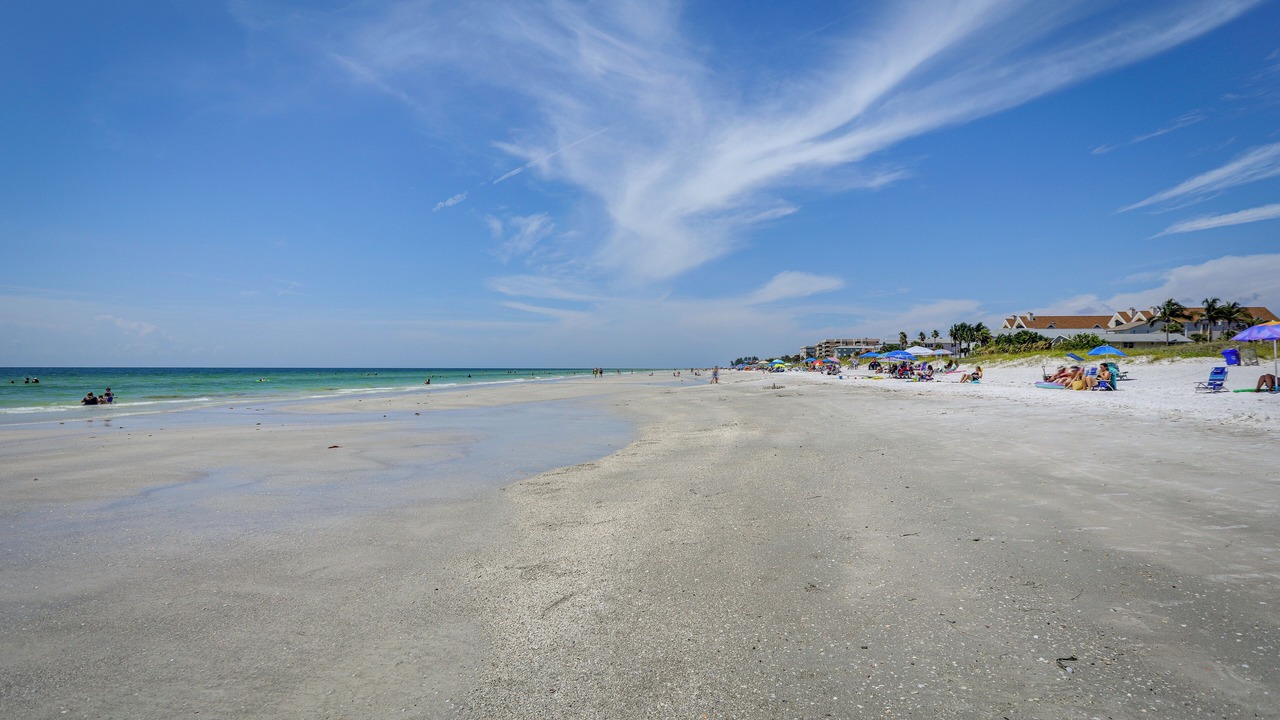 Photo of Others in Indian Rocks Beach