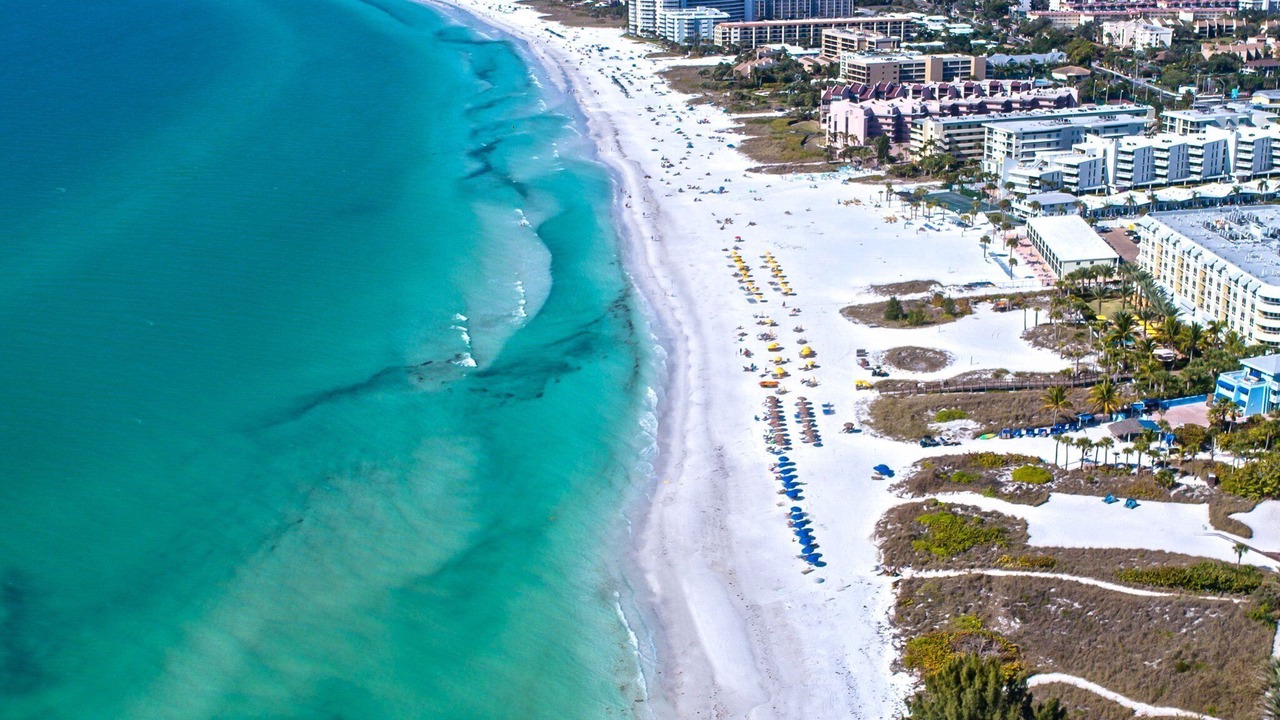 Photo of Others in Sarasota Springs