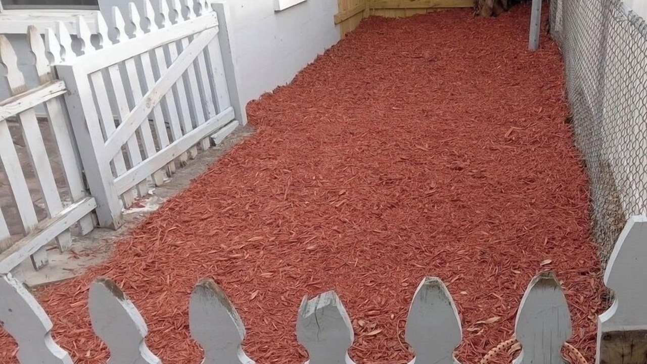 Photo of Outdoor in Clearwater