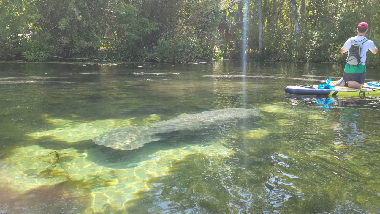Photo of Outdoor in Homosassa