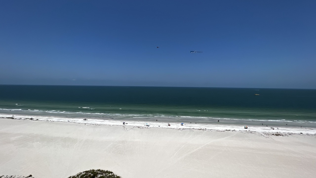 Photo of Others in Sand Key