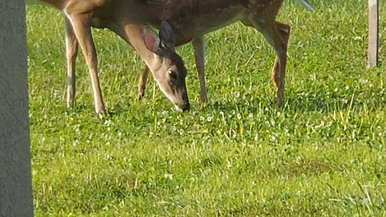 Photo of Others in Brooksville
