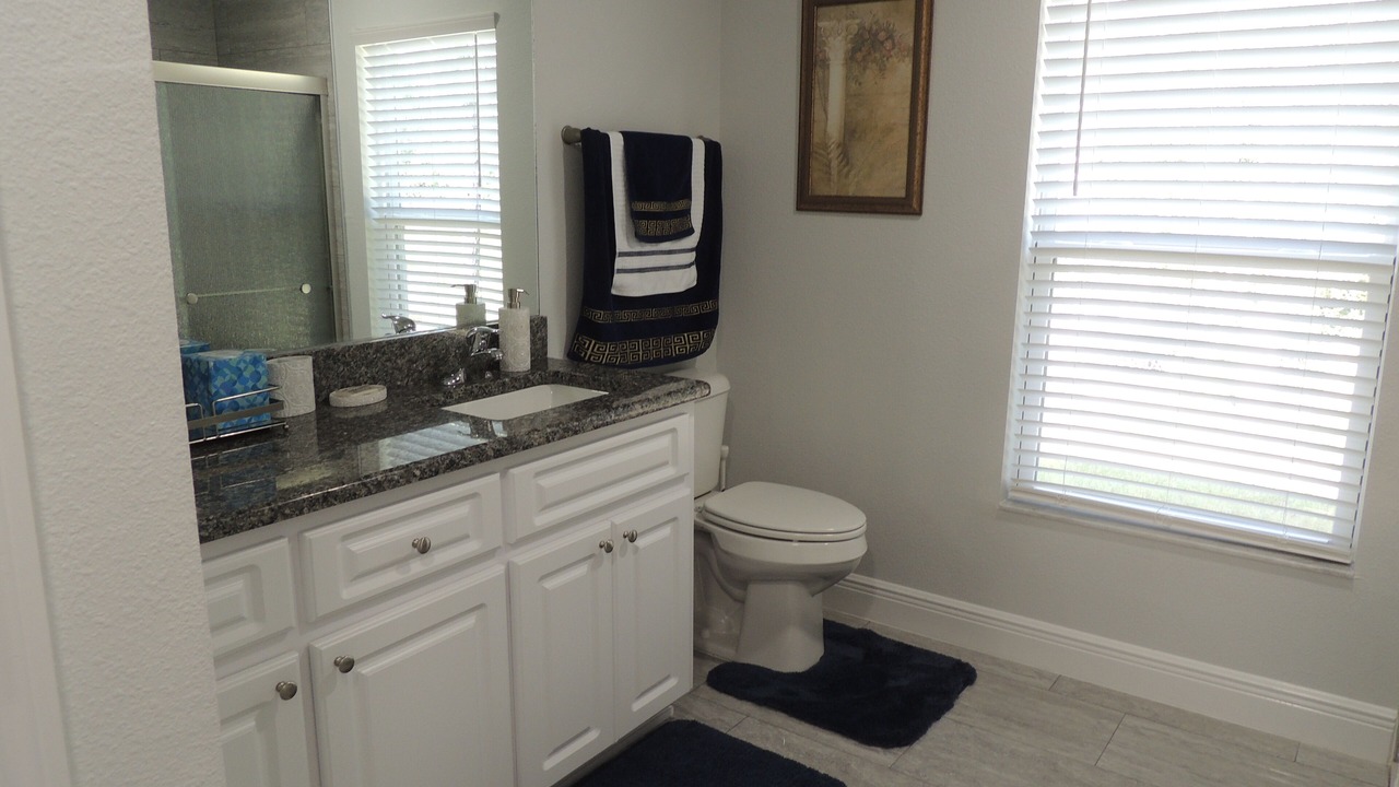 Photo of Bathroom in Brooksville