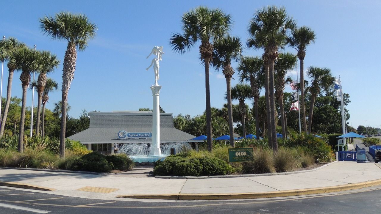 Photo of Others in Brooksville