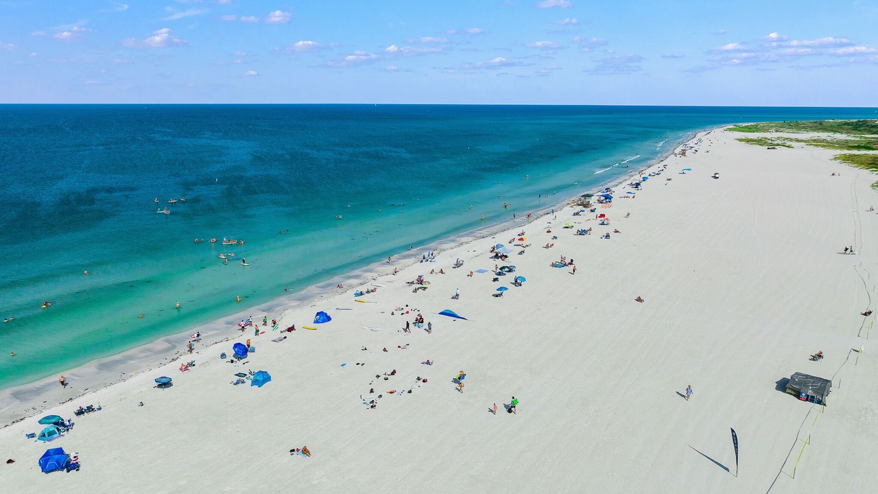Photo of Others in Sarasota