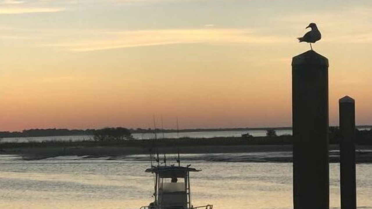 Photo of Others in St. Augustine