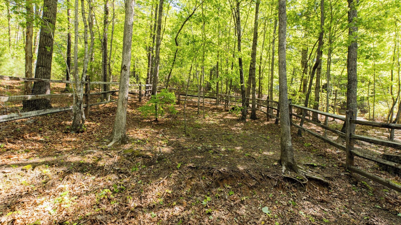 Photo of Others in Deep Gap