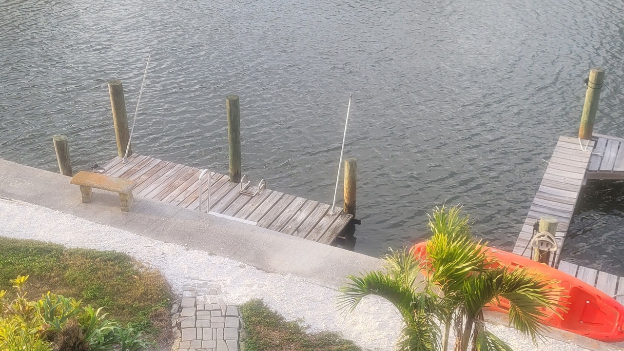 Photo of Outdoor in Palmetto