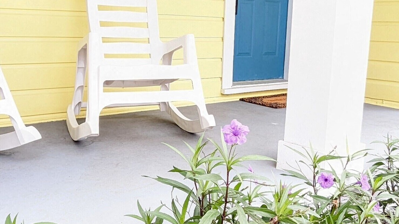 Photo of Outdoor in South Sarasota