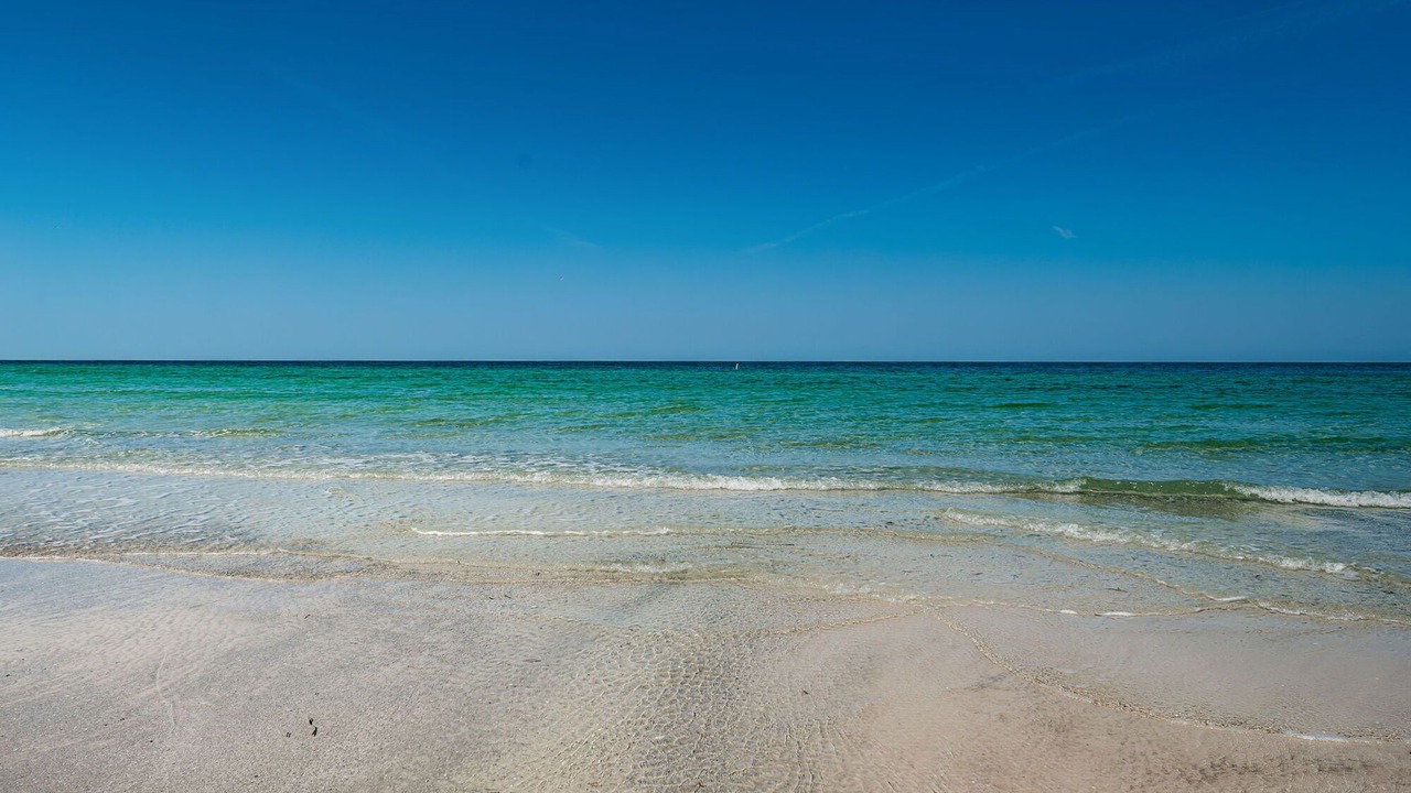 Photo of Others in Indian Rocks Beach