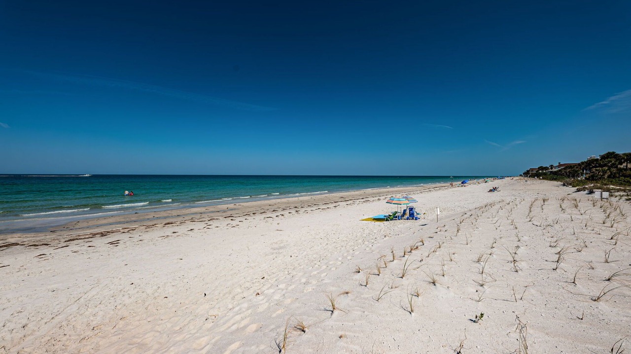 Photo of Others in Indian Rocks Beach