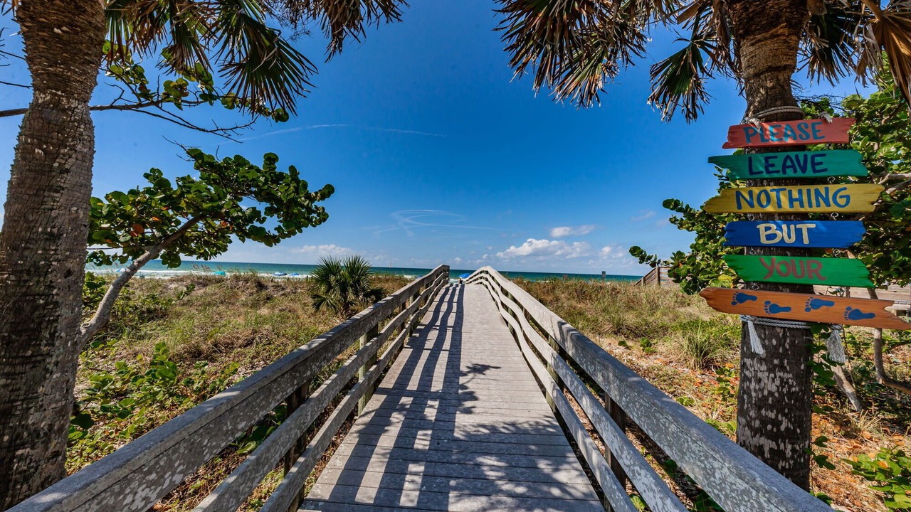 Photo of Others in Indian Rocks Beach