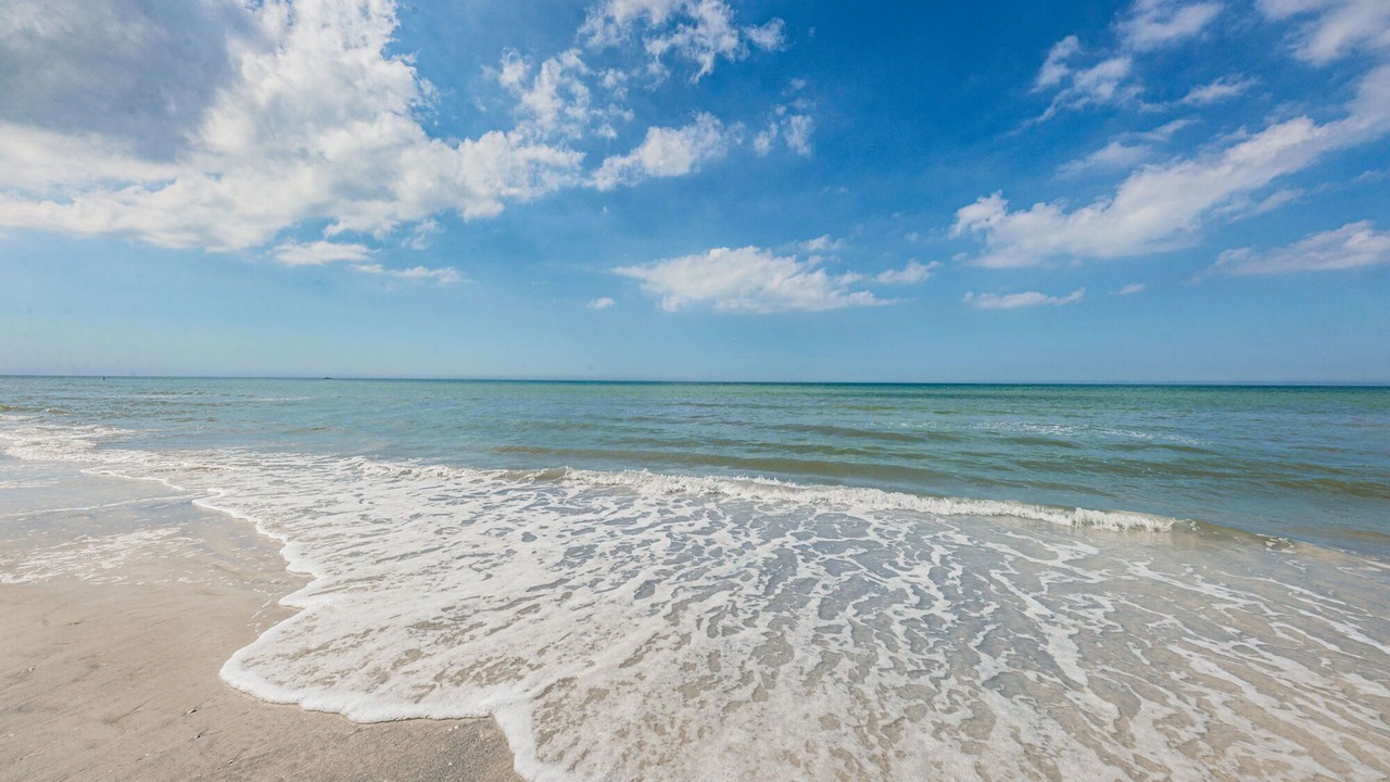Photo of Others in Indian Rocks Beach