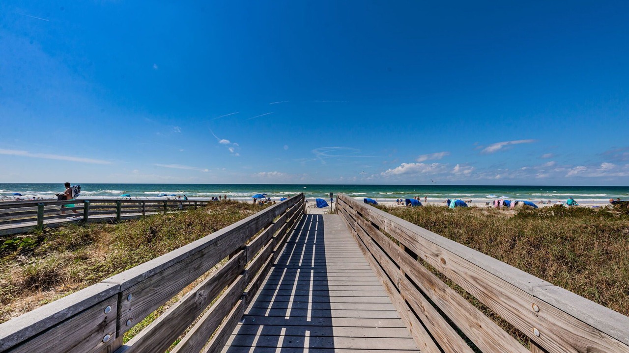 Photo of Others in Indian Rocks Beach