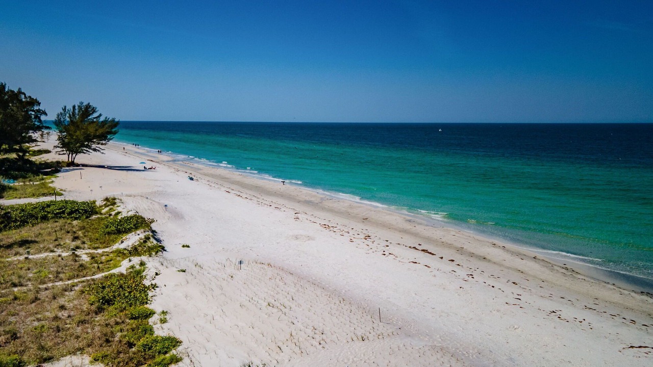 Photo of Others in Indian Rocks Beach