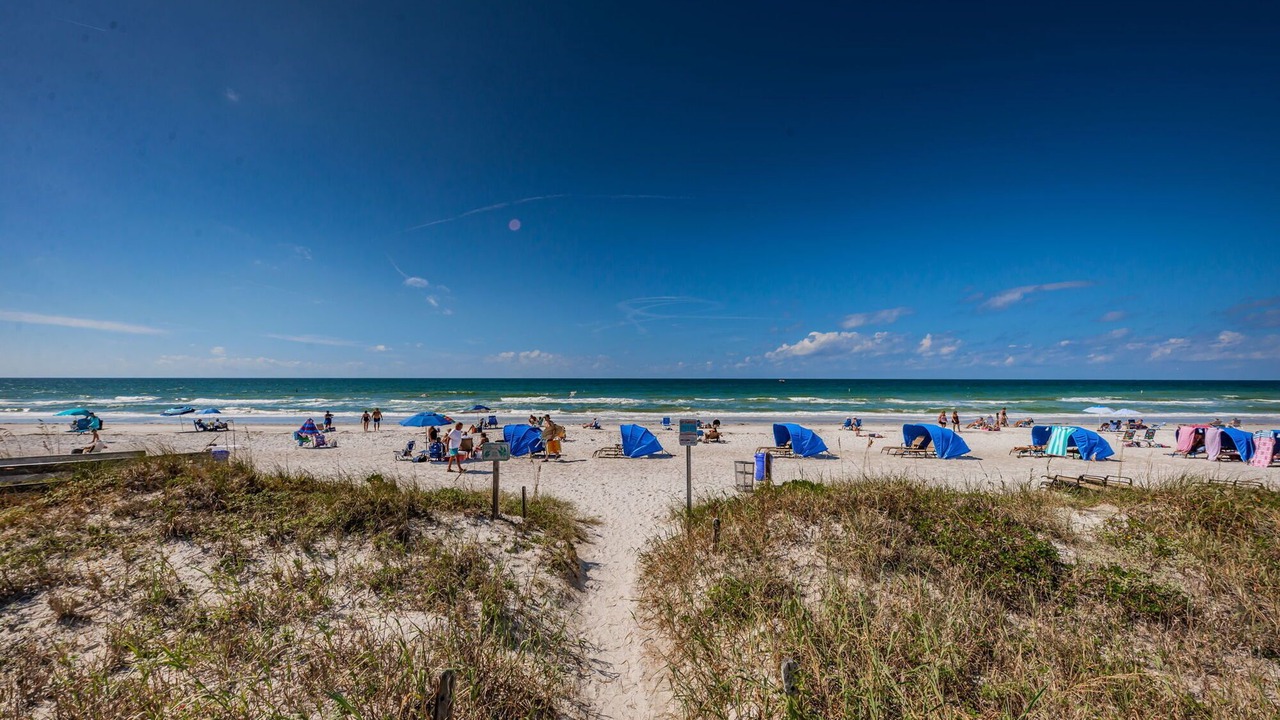 Photo of Others in Indian Rocks Beach