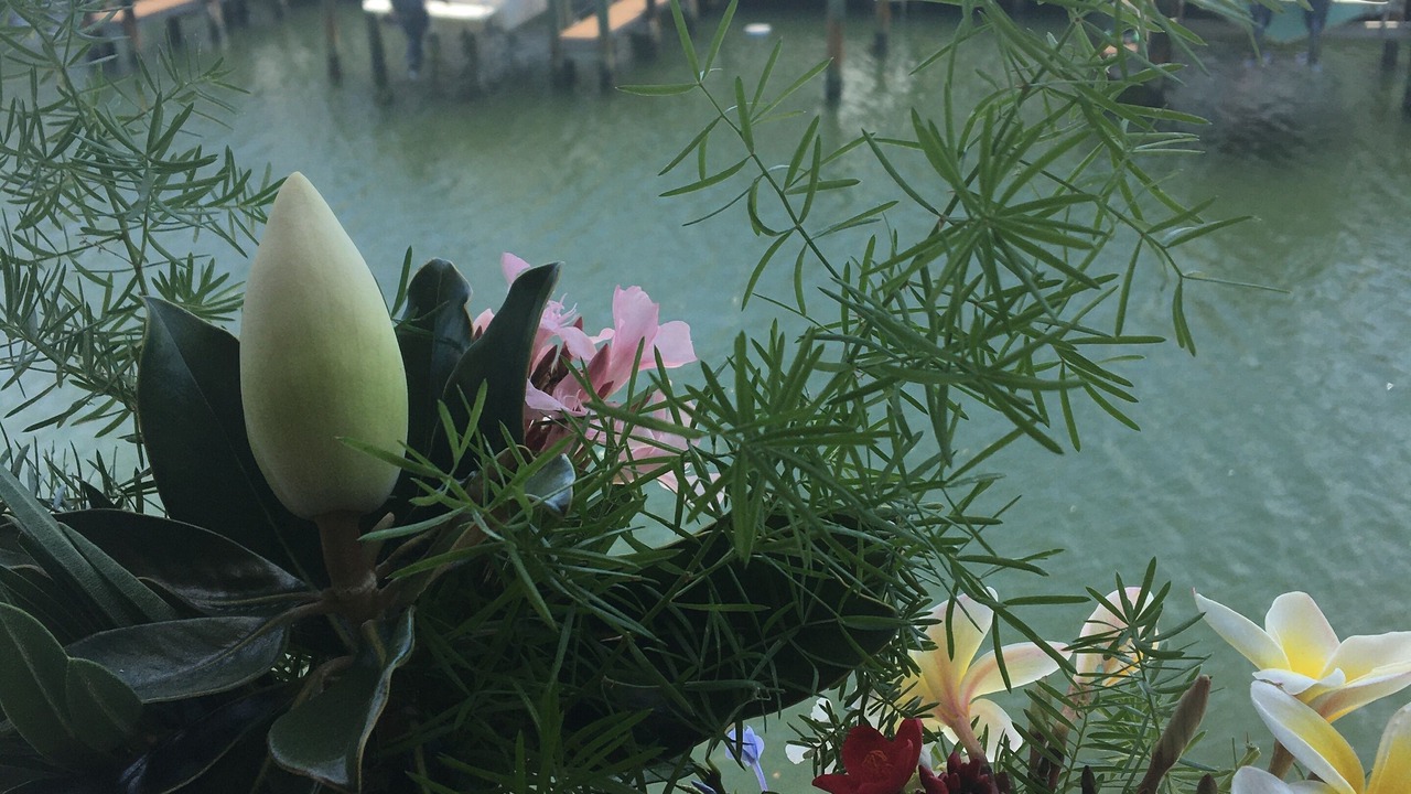 Photo of Outdoor in Coquina Key