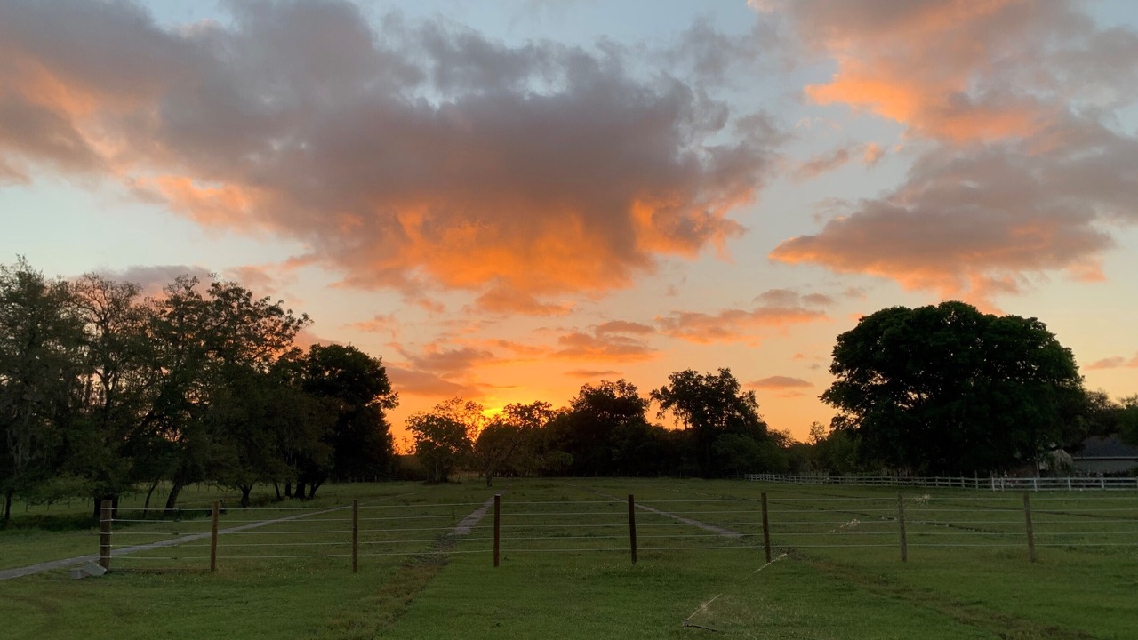 Photo of Outdoor in Dade City