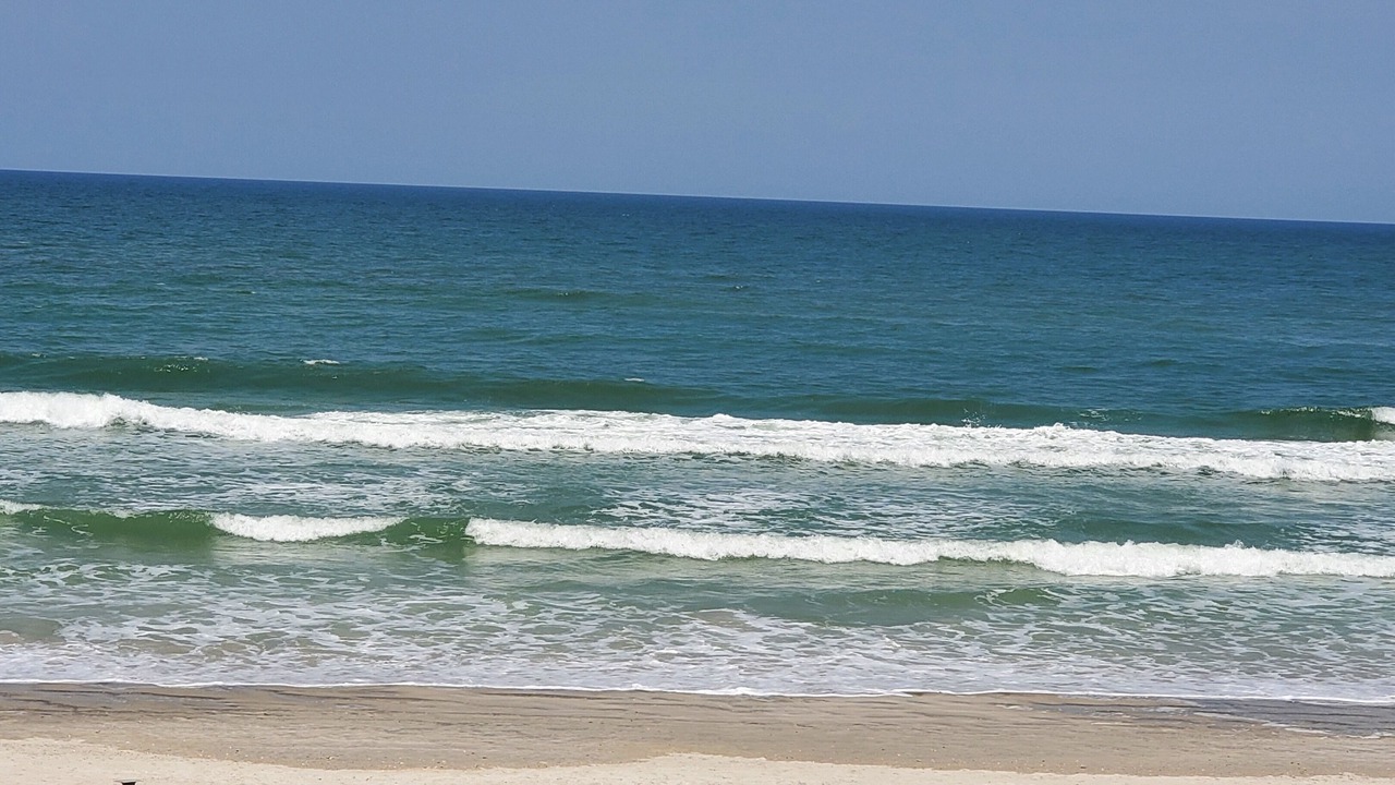Photo of Others in New Smyrna Beach