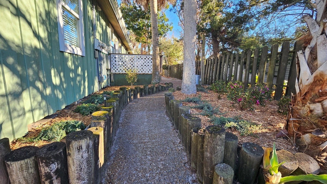 Photo of Outdoor in Cedar Key