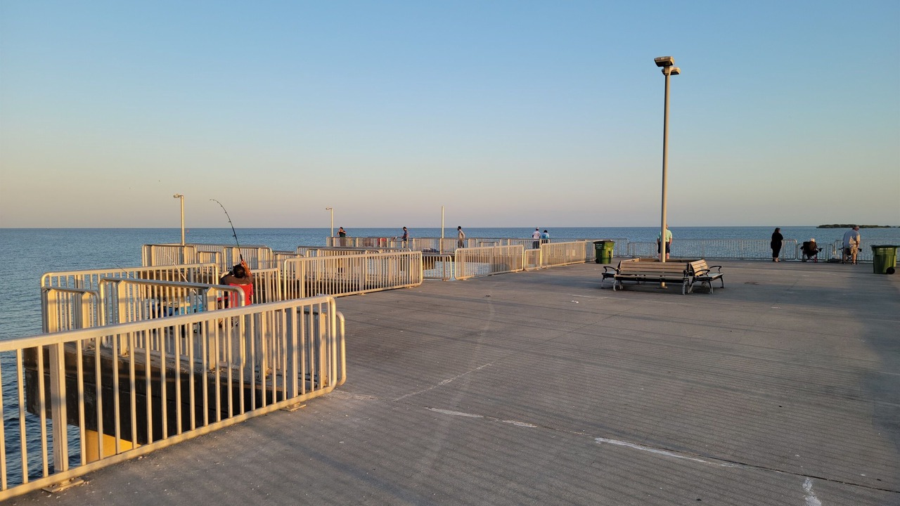 Photo of Others in Cedar Key