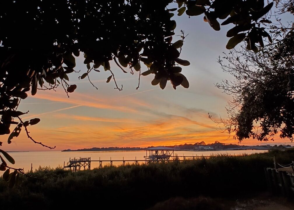 Photo of Others in Cedar Key