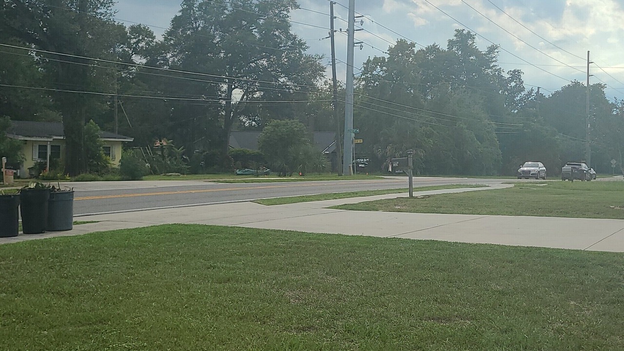 Photo of Others in Longwood