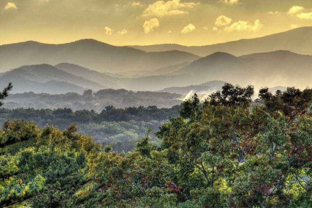 Photo of Others in Mineral Bluff