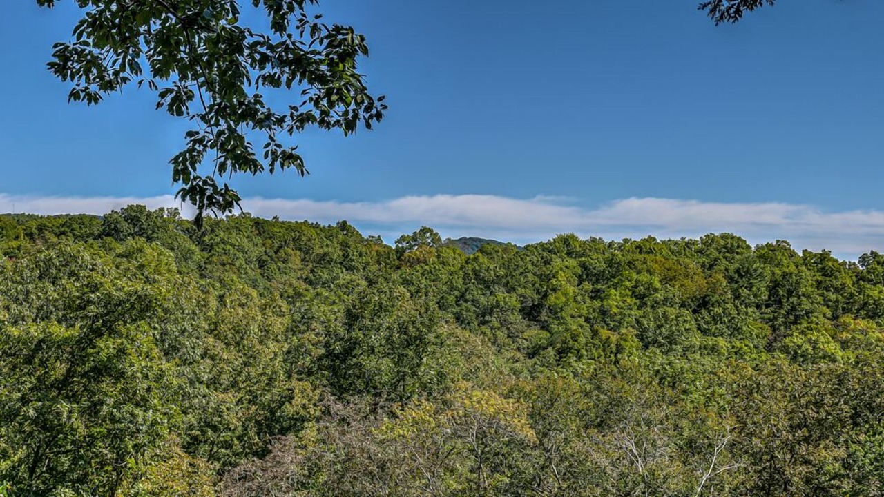 Photo of Others in Mineral Bluff