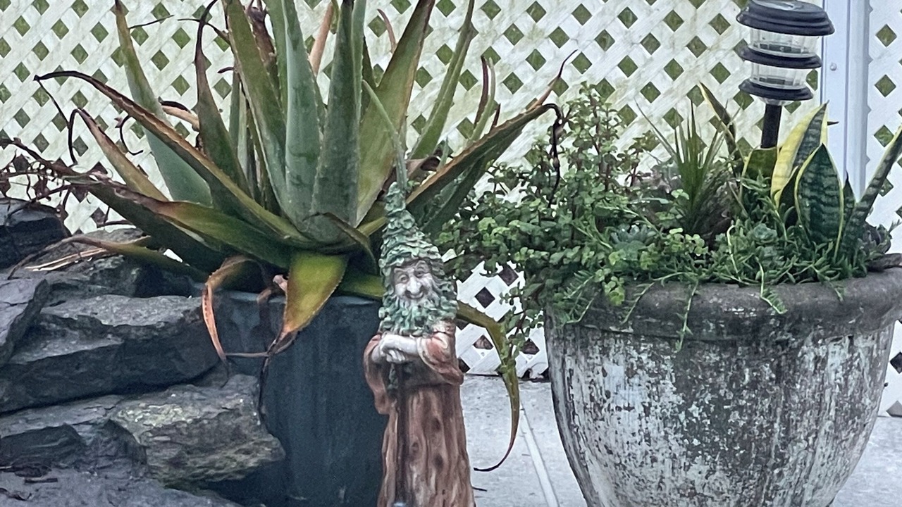Photo of Outdoor in Fellowship
