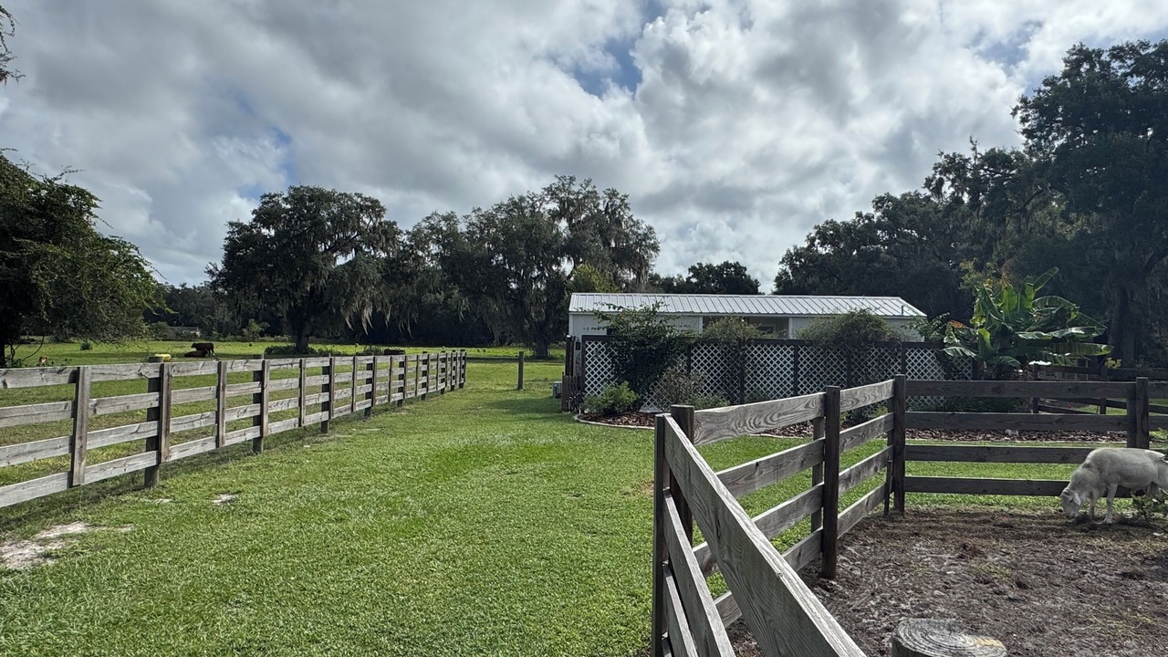Photo of Outdoor in Coleman