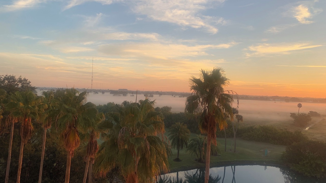 Photo of Outdoor in Palmetto