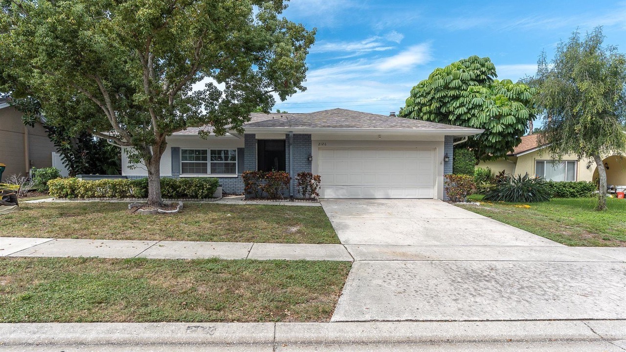 Photo of Outdoor in Palm Harbor
