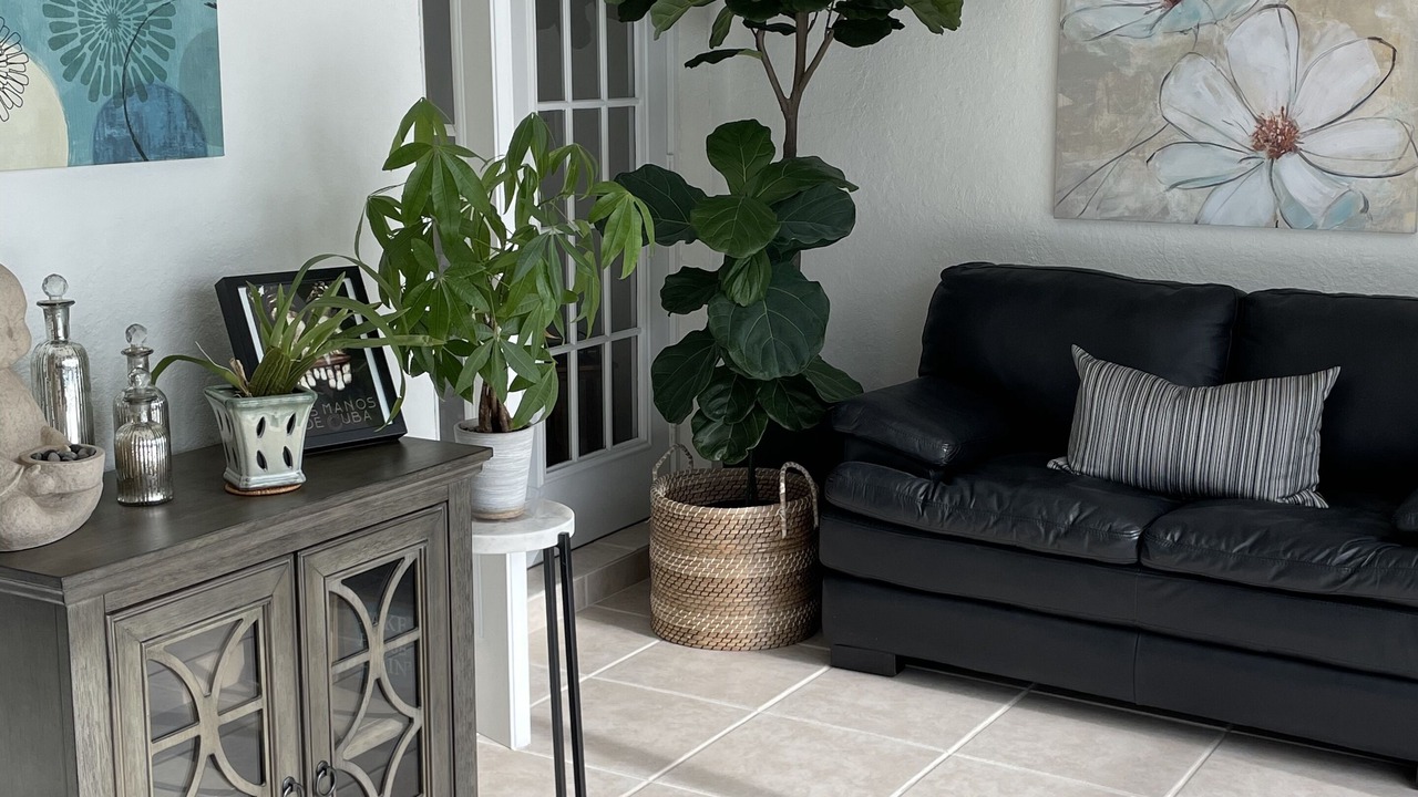 Photo of Livingroom in Eustis