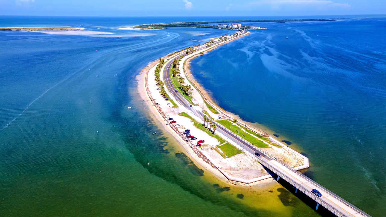 Photo of Outdoor in Palm Harbor