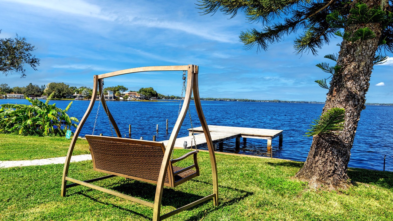 Photo of Outdoor in Palm Harbor