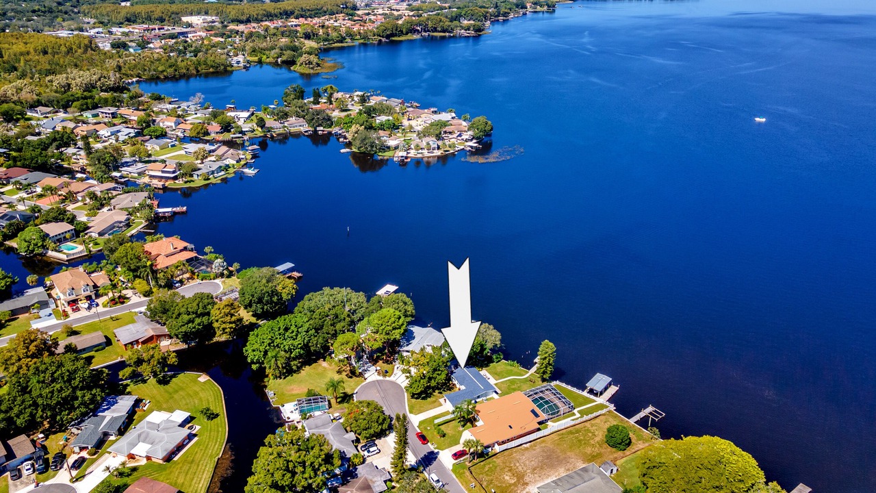 Photo of Outdoor in Palm Harbor