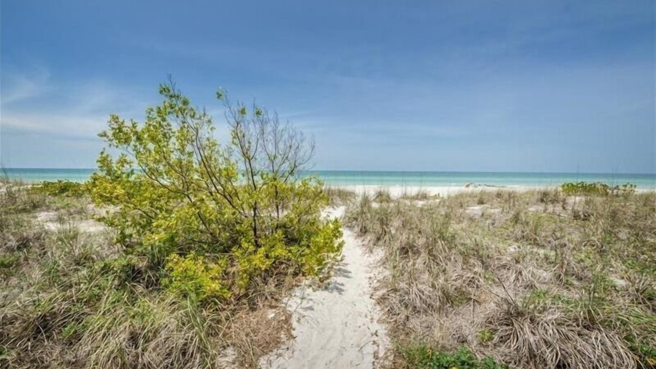 Photo of Others in Madeira Beach