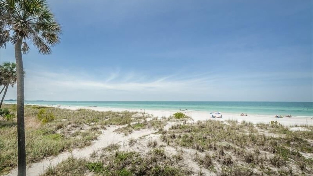 Photo of Others in Madeira Beach