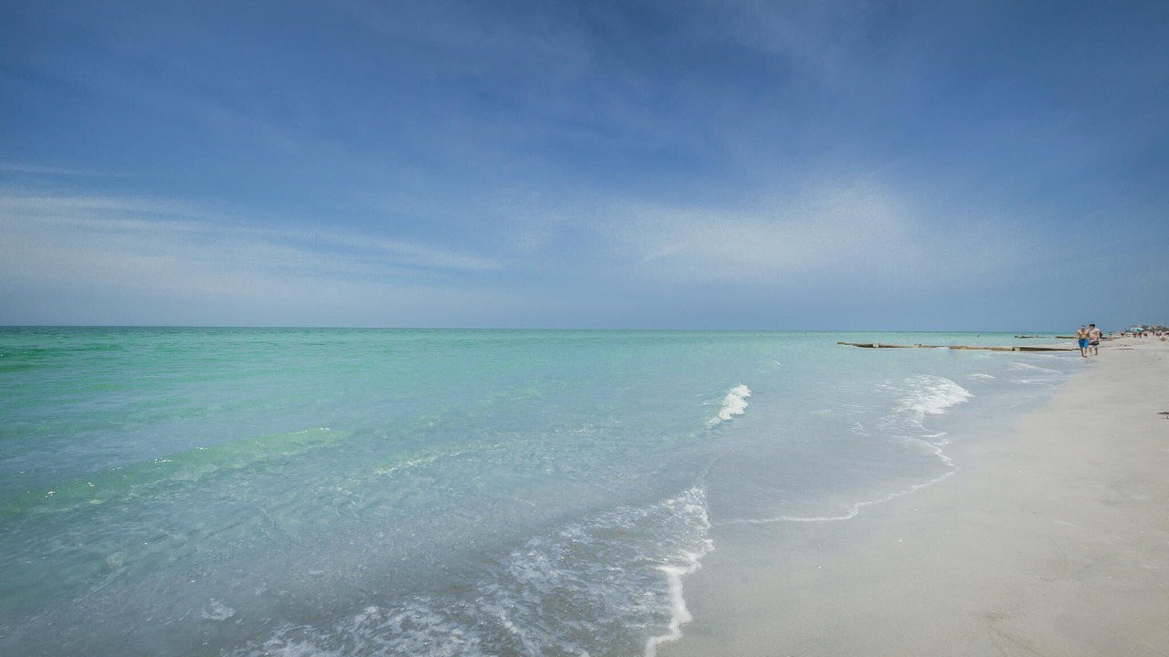 Photo of Others in Madeira Beach