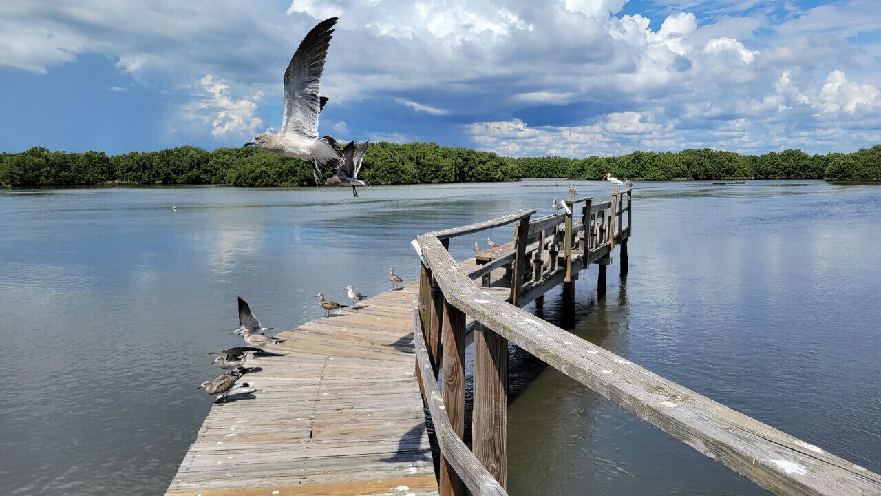 Photo of Outdoor in Cedar Key