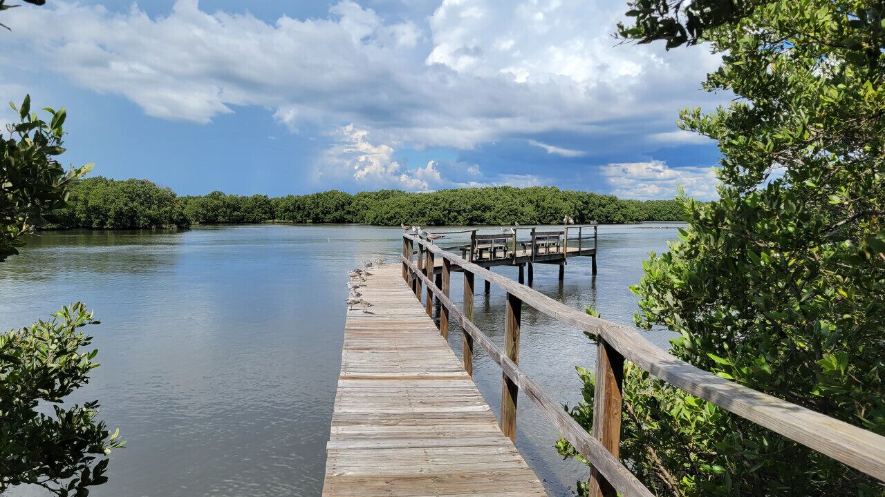 Photo of Outdoor in Cedar Key